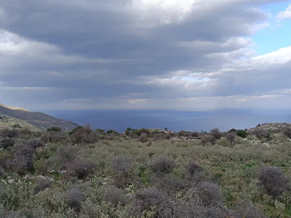 Sea-View 2,440 m² Plot of Land for Sale in Kefalas, Apokoronas — photo 5