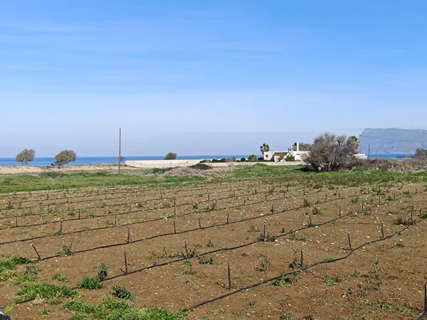 Sea-View 1,000 m² Plot of Land for Sale in Kissamos, Chania — photo 5