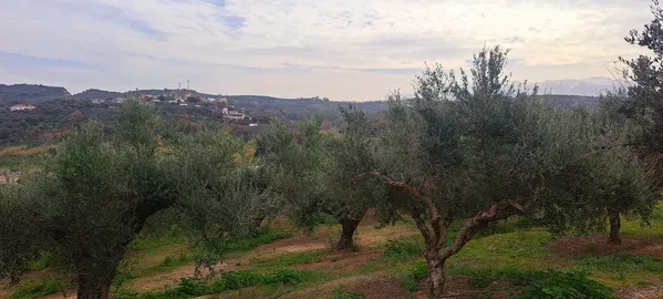Sea-View 3,386 m² Land for Sale in Polemarchi, Platanias — photo 2