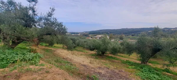 Sea-View 3,386 m² Land for Sale in Polemarchi, Platanias — photo 4