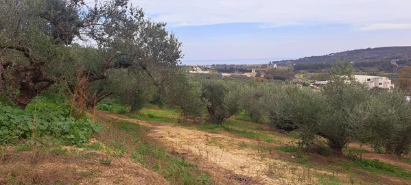 Sea-View 3,386 m² Land for Sale in Polemarchi, Platanias