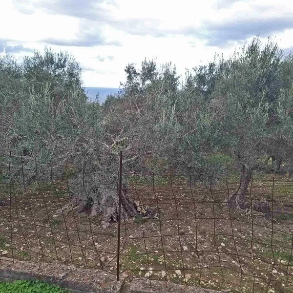 Seafront 1,852 m² Plot for Sale in Gerani Rethymno, Rethymnon — photo 3