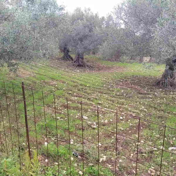 Seafront 1,852 m² Plot for Sale in Gerani Rethymno, Rethymnon — photo 5