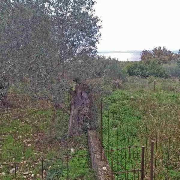 Seafront 1,852 m² Plot for Sale in Gerani Rethymno, Rethymnon — photo 4