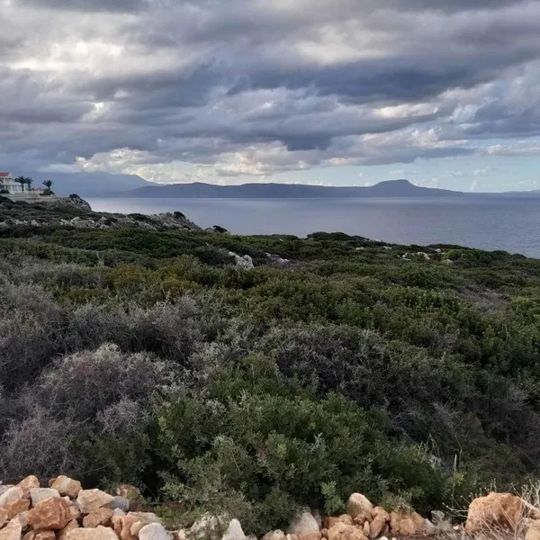 Sea-View 23,000 m² Land for Sale in Rethymnon — photo 3