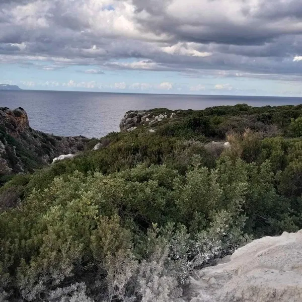 Sea-View 23,000 m² Land for Sale in Rethymnon