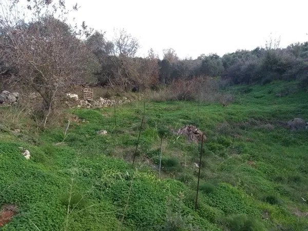 2,000 m² Plot for Sale in Rethymnon — photo 4