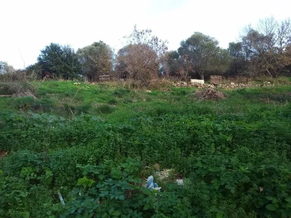 2,000 m² Plot for Sale in Rethymnon — photo 5