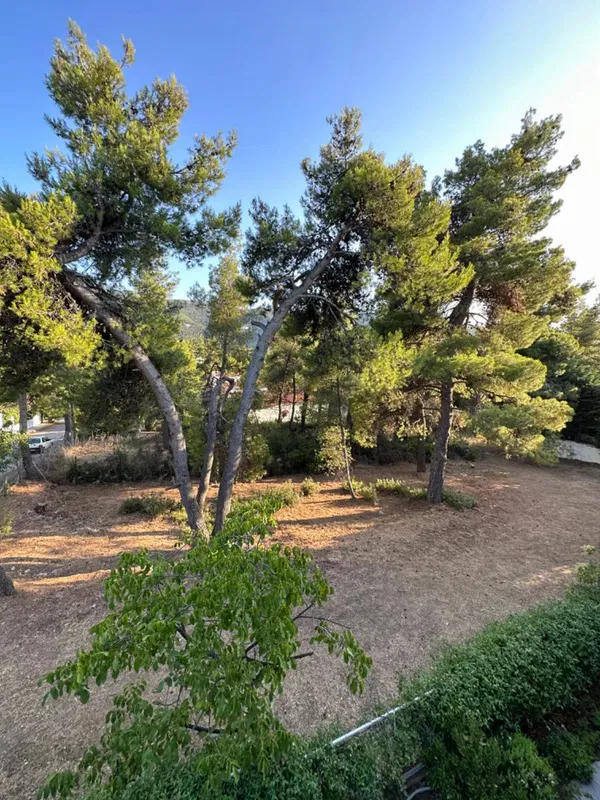 Renovated 185 m² Villa with Three Bedrooms for Sale in Dionysos, Athens Northern suburbs — photo 5