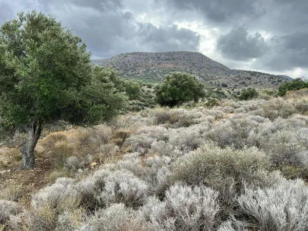 Seafront 53,000 m² Plot of Land for Sale in Gouves, Hersonissos — photo 2