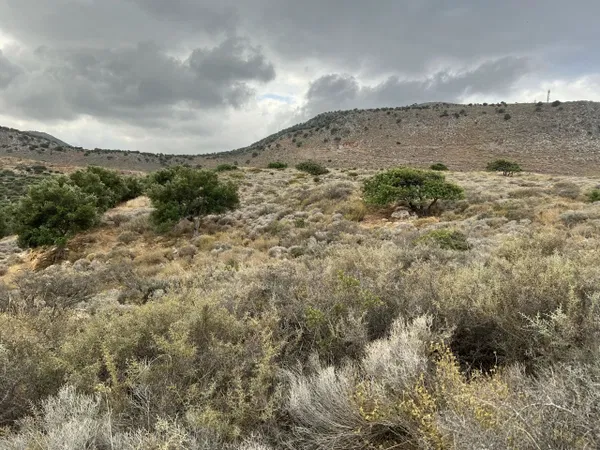 Seafront 53,000 m² Plot of Land for Sale in Gouves, Hersonissos — photo 3