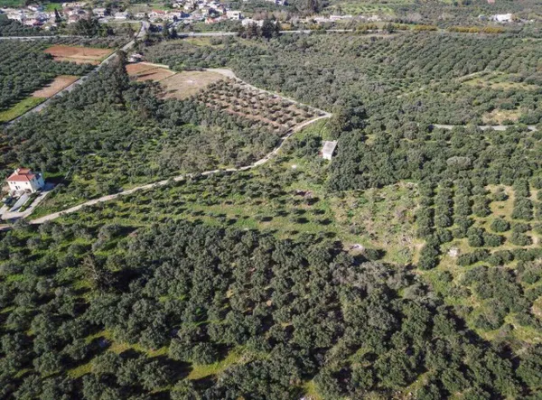 Seafront 3,904 m² Land for Sale in Kaina, Apokoronas