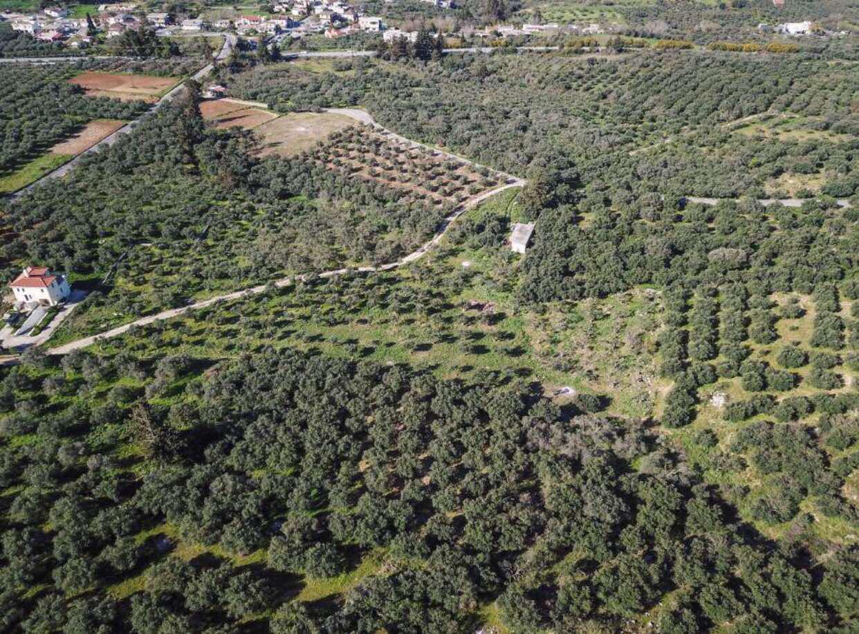 Seafront 3,904 m² Land for Sale in Kaina, Apokoronas