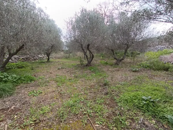 985 m² Plot of Land for Sale in Likotinara, Apokoronas — photo 4