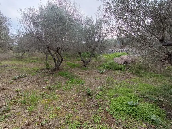 985 m² Plot of Land for Sale in Likotinara, Apokoronas — photo 2