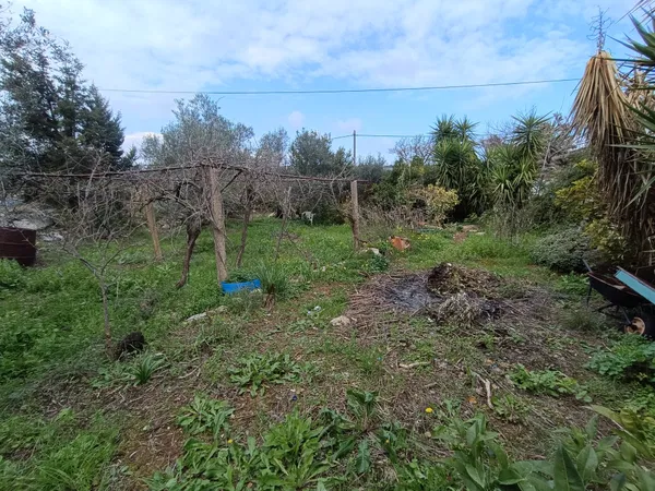 985 m² Plot of Land for Sale in Likotinara, Apokoronas — photo 3