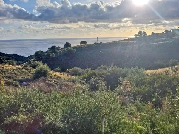 Seafront 43,000 m² Plot of Land for Sale in Saktouria, Rethymnon