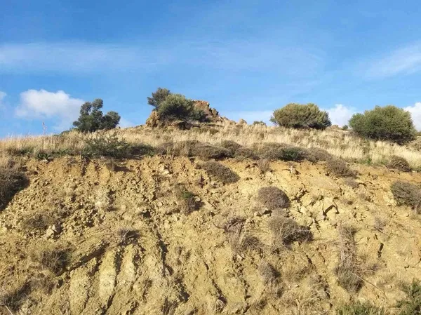 Seafront 43,000 m² Plot of Land for Sale in Saktouria, Rethymnon — photo 5