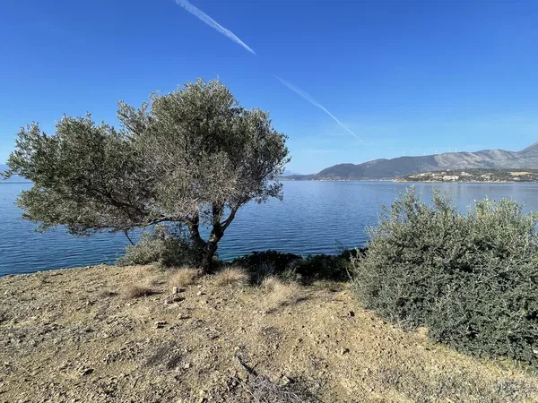 Sea-View 4,062 m² Plot of Land for Sale in Panormo, Fokida — photo 3