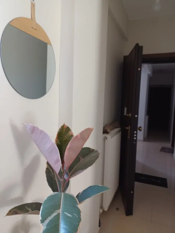 One-Bedroom Apartment for Sale in Akrata, Peloponnese — photo 4