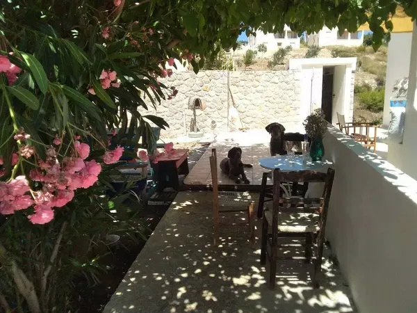 Renovated Three-Bedroom Villa for Sale in Porto Heli, Argolida — photo 4
