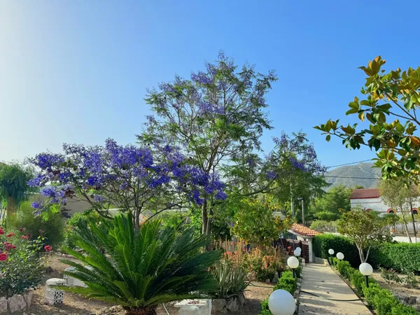 Renovated Five-Bedroom Villa for Sale in Keratea, Attica — photo 3