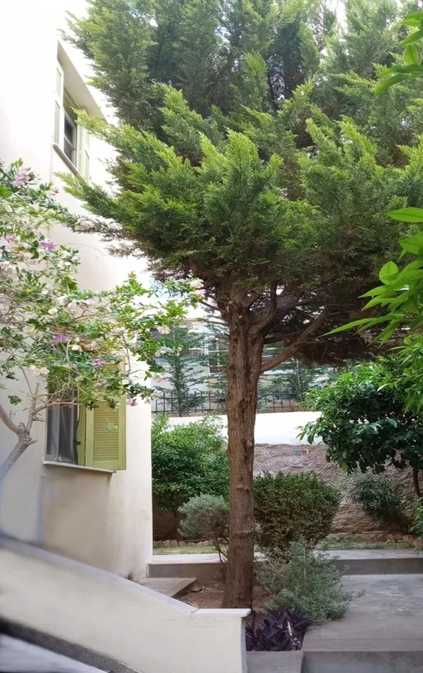 300 m² Villa with Five Bedrooms for Sale in Nea Smyrni, Athens Southern suburbs — photo 3