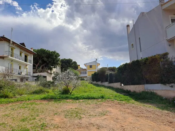 543 m² Land for Sale in Artemida, Athens Eastern Suburbs — photo 3