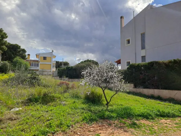 543 m² Land for Sale in Artemida, Athens Eastern Suburbs — photo 2