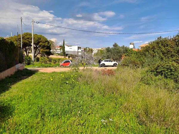 543 m² Land for Sale in Artemida, Athens Eastern Suburbs — photo 4