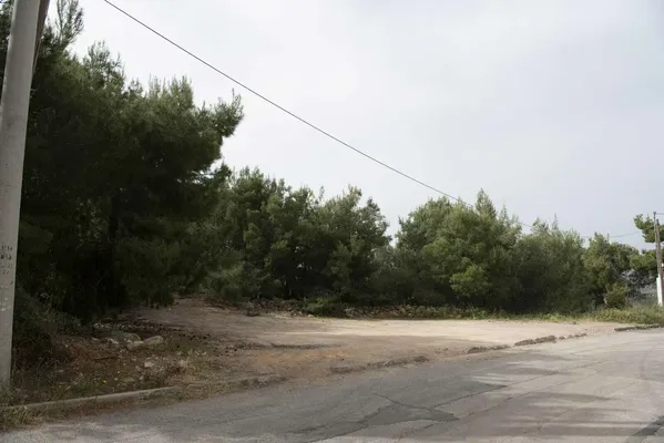 1,012 m² Plot for Sale in Thrakomakedones, Athens Northern suburbs — photo 3