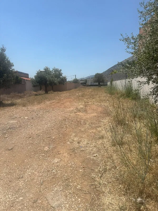 704 m² Plot of Land for Sale in Paiania, Athens Eastern Suburbs — photo 3