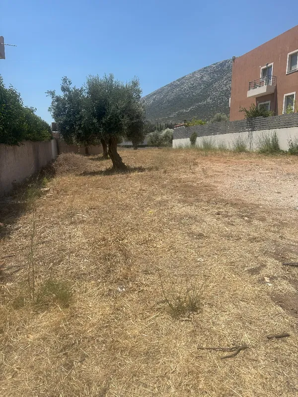 704 m² Plot of Land for Sale in Paiania, Athens Eastern Suburbs — photo 4