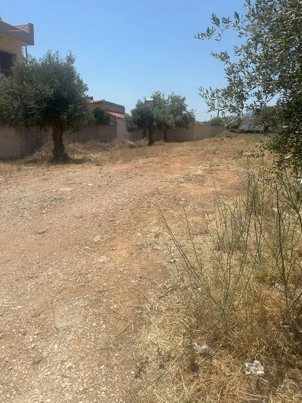 704 m² Plot of Land for Sale in Paiania, Athens Eastern Suburbs — photo 5
