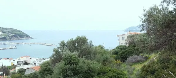 Sea-View 2,300 m² Plot for Sale in Evia, Sterea Hellas