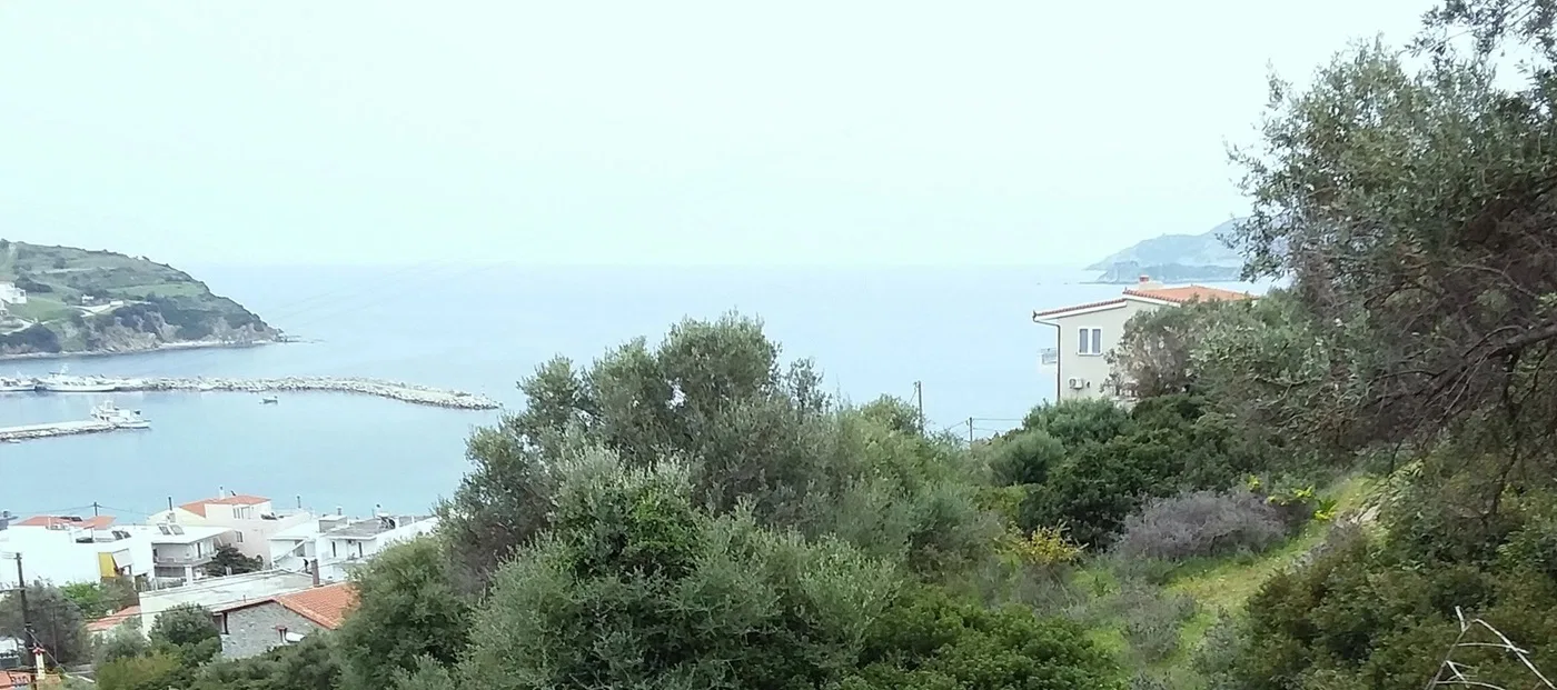 Sea-View 2,300 m² Plot for Sale in Evia, Sterea Hellas