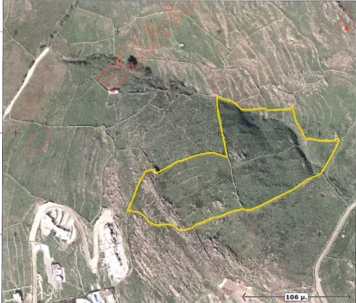 Sea-View 21,000 m² Land for Sale in Mykonos, Cyclades — photo 4