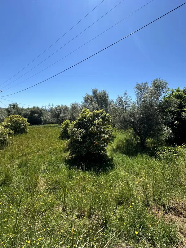 Seafront 4,070 m² Land for Sale in Costa Navarino, Messinia — photo 2