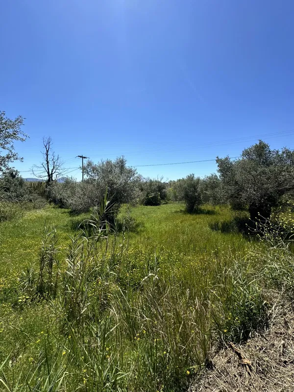 Seafront 4,070 m² Land for Sale in Costa Navarino, Messinia — photo 4