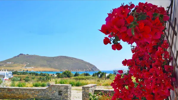 71 m² Three-Bedroom Villa for Sale in Paros, Cyclades — photo 4