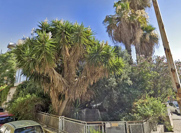 245 m² Land for Sale in Palaio Faliro, Athens Southern suburbs — photo 3