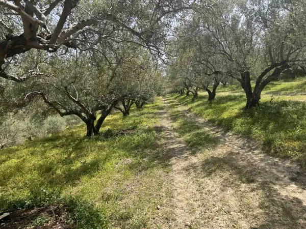 Sea-View Land for Sale in Xamoudochori, Platanias — photo 3