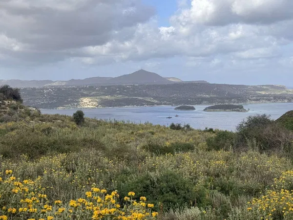 Sea-View 8,500 m² Land for Sale in Megala Chorafia, Chania
