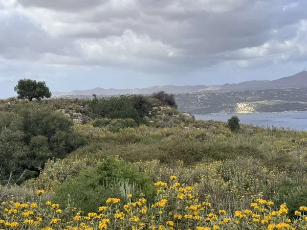 Sea-View 8,500 m² Land for Sale in Megala Chorafia, Chania — photo 5