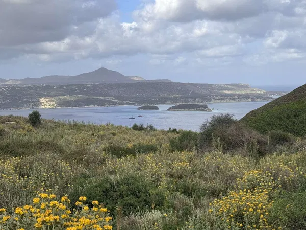 Sea-View 8,500 m² Land for Sale in Megala Chorafia, Chania — photo 4