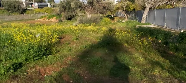 702 m² Plot for Sale in Nea Makri, Athens Eastern Suburbs — photo 2