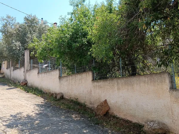 Seafront 434 m² Land for Sale in Artemida, Athens Eastern Suburbs — photo 4