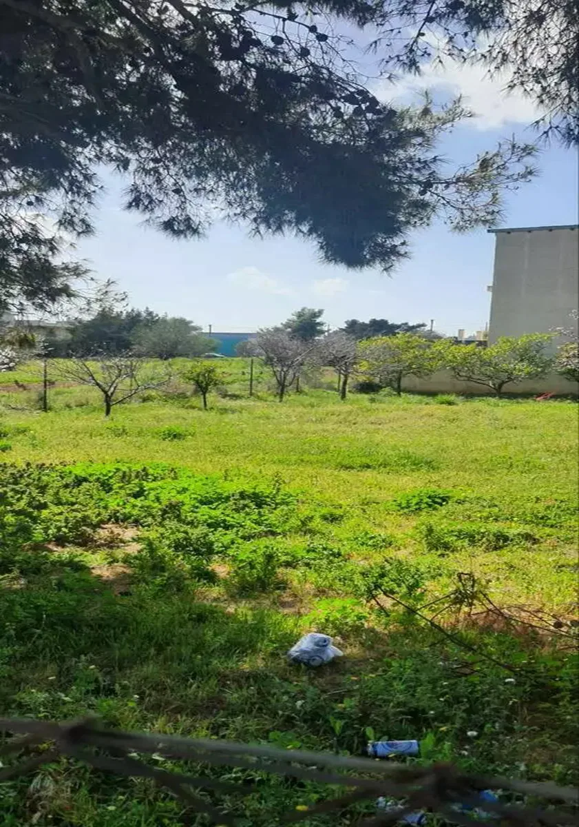 504 m² Land for Sale in Artemida, Athens Eastern Suburbs