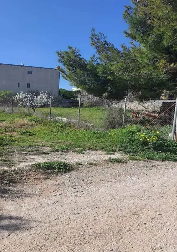 504 m² Land for Sale in Artemida, Athens Eastern Suburbs — photo 2