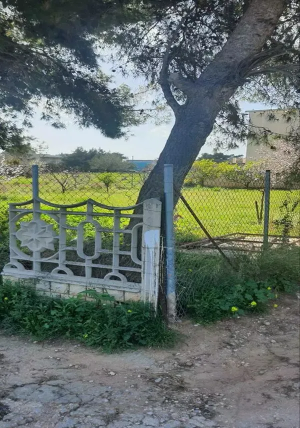 504 m² Land for Sale in Artemida, Athens Eastern Suburbs — photo 3